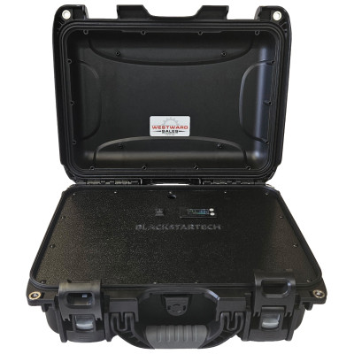 Portable Monitoring and Control Station with Battery Power and WiFi